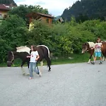 Apartment In Sankt Johann Near Ski Area *