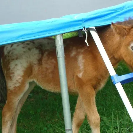 In Sankt Johann Near Area Appartement Sankt Veit im Pongau