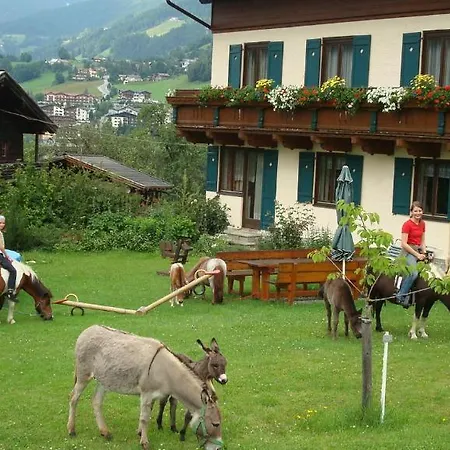 Apartman In Sankt Johann Near Area