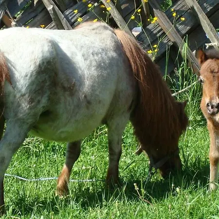 Appartement In Sankt Johann Near Area