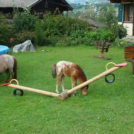 In Sankt Johann Near Area Appartement *