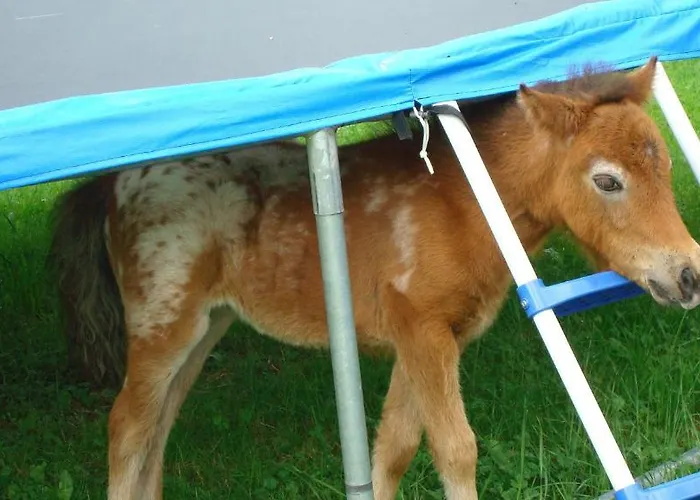 In Sankt Johann Near Area Appartamento Sankt Veit im Pongau