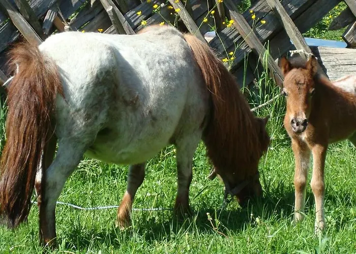Appartamento In Sankt Johann Near Area