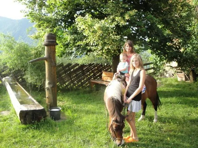 In Sankt Johann Near Area