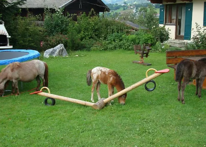 In Sankt Johann Near Area Appartamento *